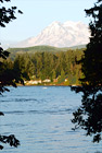 Mt. Rainier Through Trees & Lake digital painting