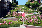 Lombard Street digital painting