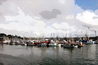 Sailboats of Newport, Oregon digital painting