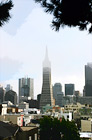 San Francisco & Transamerica Pyramid digital painting