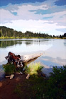 Log & Reflection Lake digital painting