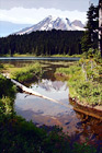 Mount Rainier Reflection & Log digital painting