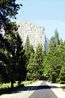 El Capitan & Forest Road digital painting