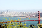 Golden Gate Bridge & Yellow Flowers digital painting
