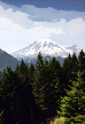 Mount Rainier Behind Evergreen Trees digital painting