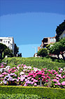 Lombard Street Close Up digital painting