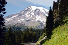 Mount Rainer Appearing Big digital painting