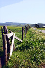 Country Fence & Road digital painting