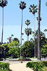 Palms of Rogers Memorial Park digital painting