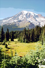 Mount Rainier & Open Field digital painting