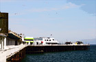 Santa Cruz Pier & Seagulls digital painting