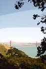 Golden Gate Bridge framed by Tree digital painting