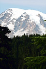 Close Up Mount Rainier & Trees digital painting