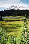 Mount Rainier, Trees, & Lake digital painting