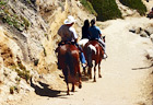 Horseback Riding at Half Moon Bay digital painting