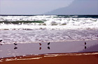 Waves & Seagulls by Pacific Ocean digital painting