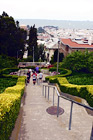 Running Stairs in the Presidio digital painting