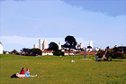 Park in San Francisco, California digital painting