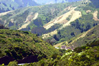 Close up of Golden Green Hills digital painting