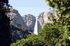 Yosemite Falls Through Trees digital painting
