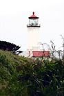 North Head Lighthouse on Washington Coast digital painting