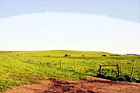 California Farmland digital painting