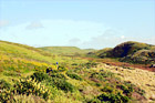 People Hiking on Green Trail digital painting