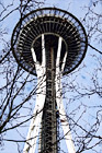 Space Needle & Tree Branches digital painting