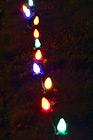 Christmas Lights Along the Grass digital painting