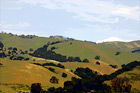 Green Hill, Trees, & Blue Sky digital painting