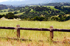 Country Fence & Green Fields digital painting