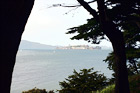 Alcatraz Between Trees digital painting