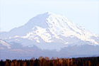 Mount Rainier in During Winter Season digital painting