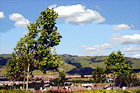 Blue Sky, Green Hills, & Trees in San Jose digital painting