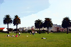 People Enjoying a San Francisco Park digital painting
