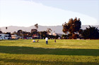 People at Park in Santa Barbara digital painting