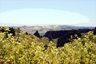 Bay Area Landscape Scene digital painting