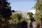 Lake Pond & Trees in Yosemite digital painting