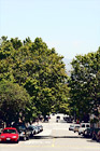 Road, Blue Sky & Leafy Trees digital painting