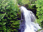 Falls Creek, Mt. Rainier National Forest digital painting