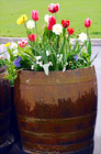 Barrel of Flowers digital painting