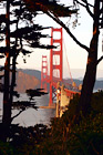 Golden Gate Bridge Through Trees digital painting