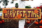 Harvest Time Sign digital painting