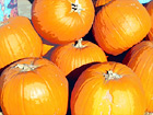 Close Up - Pumpkins digital painting