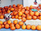 Halloween Pumpkins digital painting