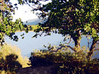 Lake & Scenic Trees digital painting