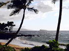 Maui Beach, Palm Trees & Ocean digital painting