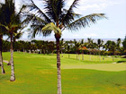 Maui Golf Course digital painting