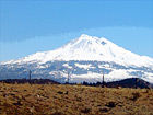 Mt. Shasta digital painting