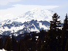 Mt. Rainier Close Up at Tipsoo Lake digital painting